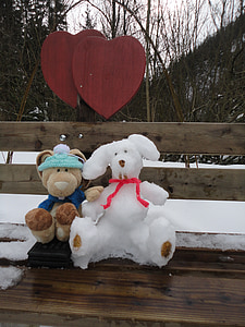 Zajac, schneehase, Pauli, obrázok, zimné, láska, mrazivé