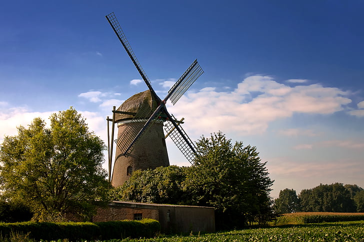 Windmill, nostalgi, Müller, mjöl, spannmål, Grain, naturen