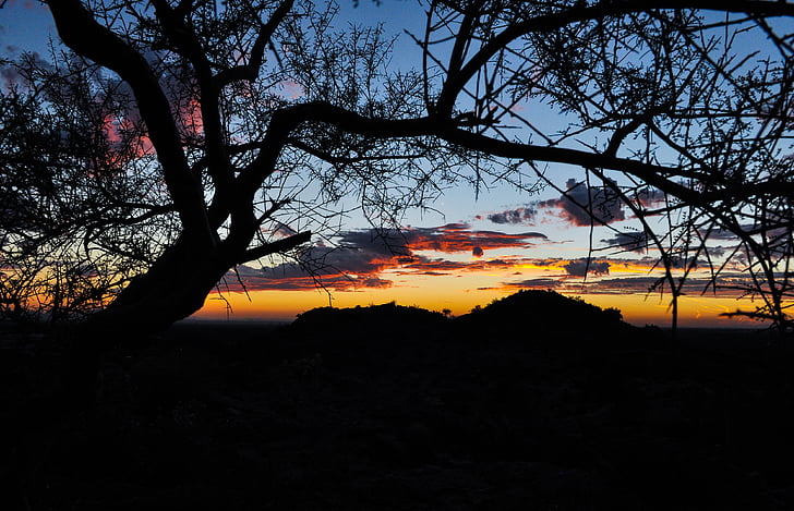 Západ slunce, Arizona, poušť, krajina, obloha, Phoenix, silueta