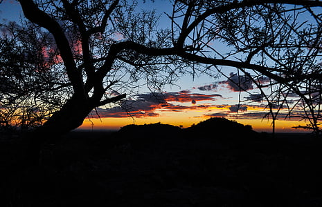 zachód słońca, Arizona, Pustynia, krajobraz, niebo, Phoenix, sylwetka