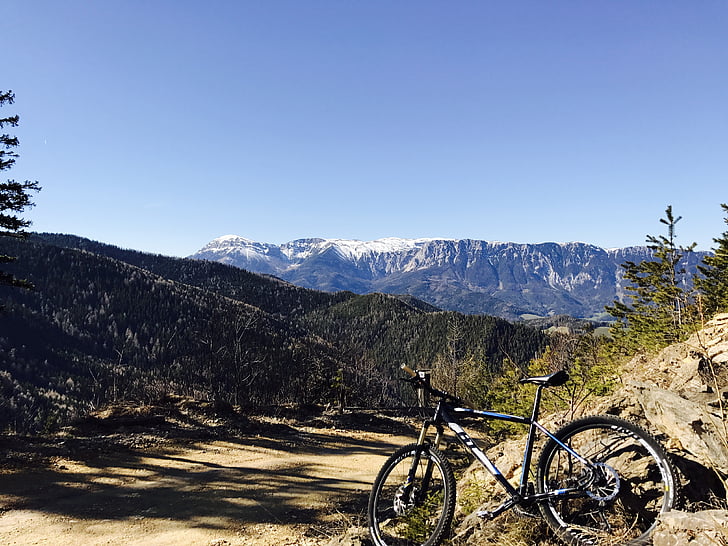 dağ bisikleti, Alp, Spor