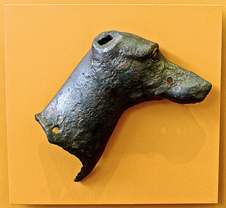 chien, bronze, romain, tête, Whippet, ornement, antique