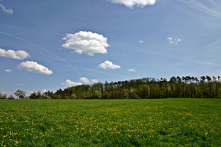 landscape, spring, hill, forest, edge of the woods, nature, meadow