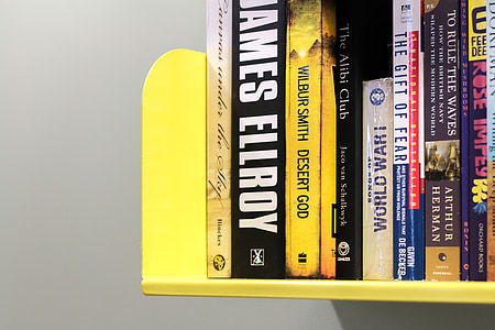 bookshelf, yellow, books, library, literature, education, university