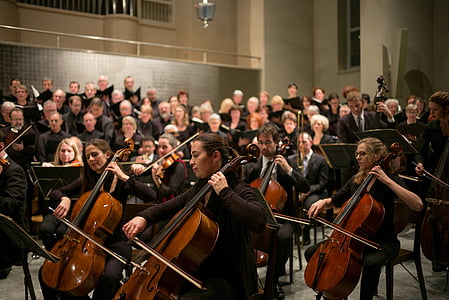 musica classica, Orchestra, coro, concerto, grande gruppo di persone, musica, uomini di età media