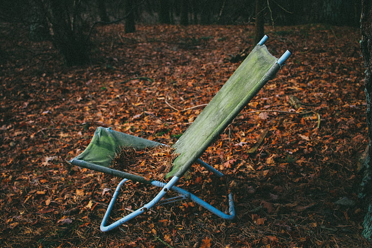 green, lounge, chair, full, dried, leaves, autumn