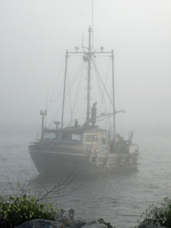 ομίχλη, Ποταμός, θολό τοπίο, βάρκα, πλοίο, παράδοση, στη θάλασσα