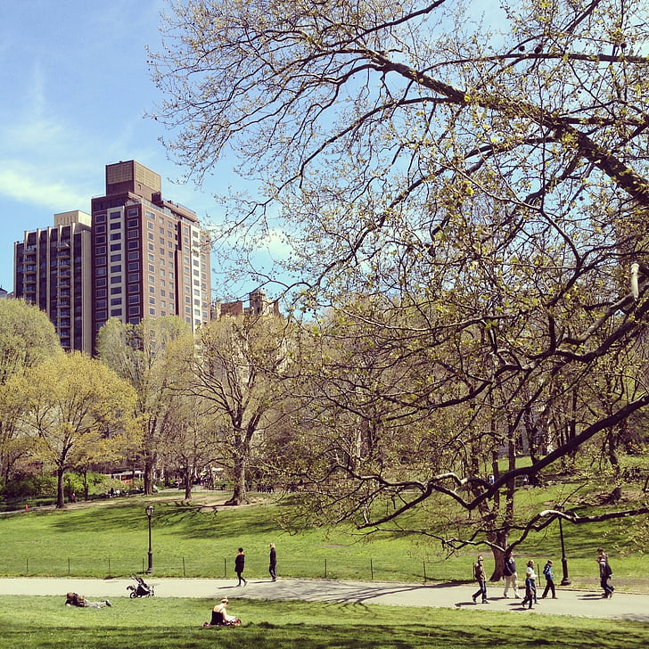 Manhattan, Central park, Manhattan, Urban, utendørs, naturskjønne