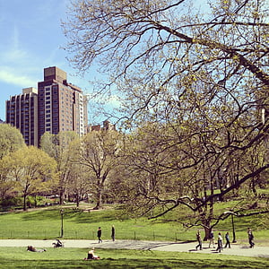 New york city, Central park, Manhattan, stedelijke, buitenshuis, schilderachtige