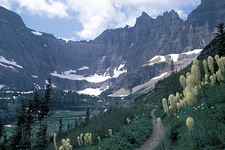 Berge, Bear grass, Gletscher, nationalen, Park, Landschaft, landschaftlich reizvolle