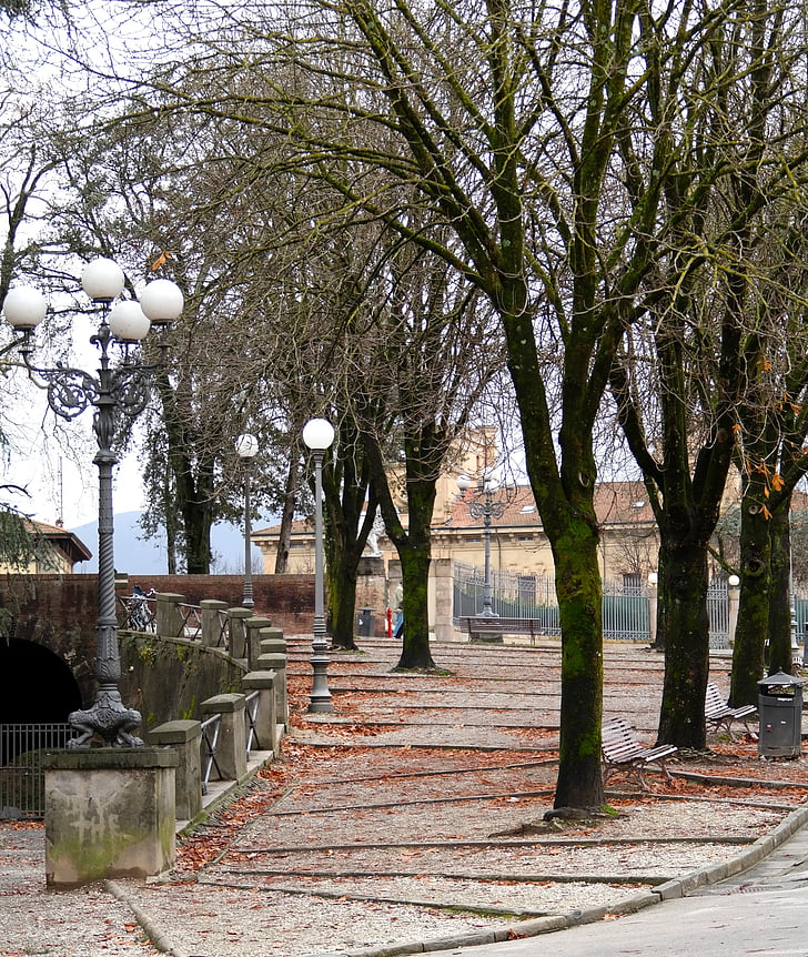 árboles, carretera, invierno, paseos, día, Pasarela, Italia
