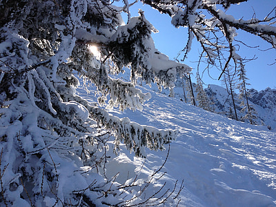 冬天, 越野滑雪, 山脉, 白色, 滑雪