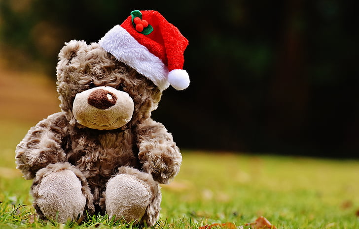 Giáng sinh, Teddy, đồ chơi mềm, Santa hat, Buồn cười, đồ chơi, gấu bông
