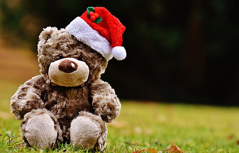 christmas, teddy, soft toy, santa hat, funny, toy, teddy bear