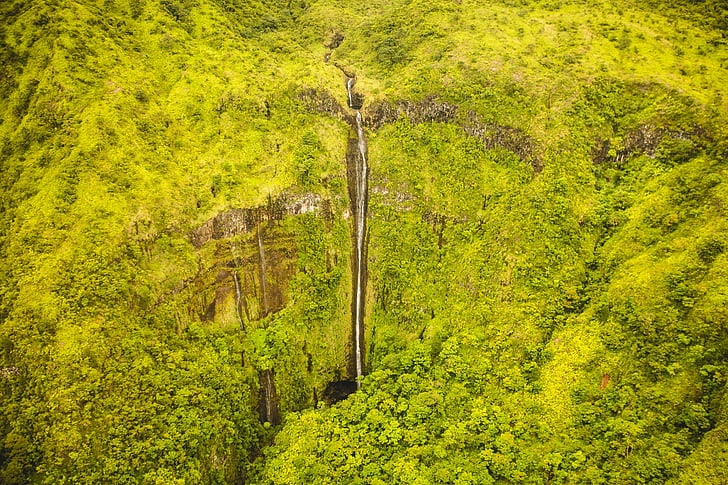 green, forest, waterfall, green color, nature, tree, no people