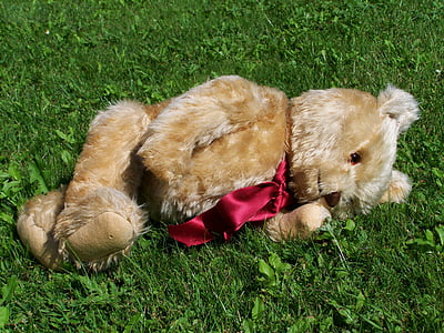 Teddy bear, zum Kinderspiel, farbige Brötchen, pelzige Teddy Bär, Grass, Tier, Haustiere