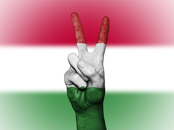 Węgry, pokoju, ręka, naród, tło, transparent, kolory