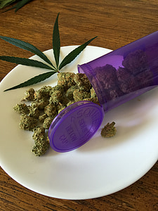 cannabis, marijuana, weed, drug, hemp, medicine, plant