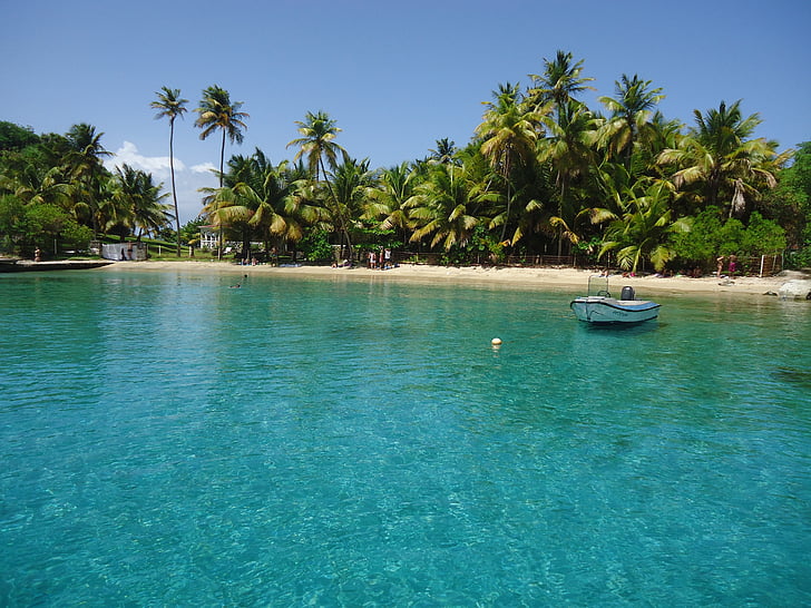 water, zee, boot, palmboom, vakanties, zomer, blauw