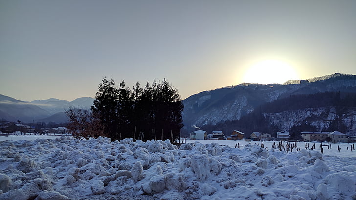 snow, morning, mountain, wood, sunrise, japan, nagano