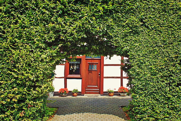 hedge, hedge accounting, fachwerkhaus, access, archway, house entrance, architecture