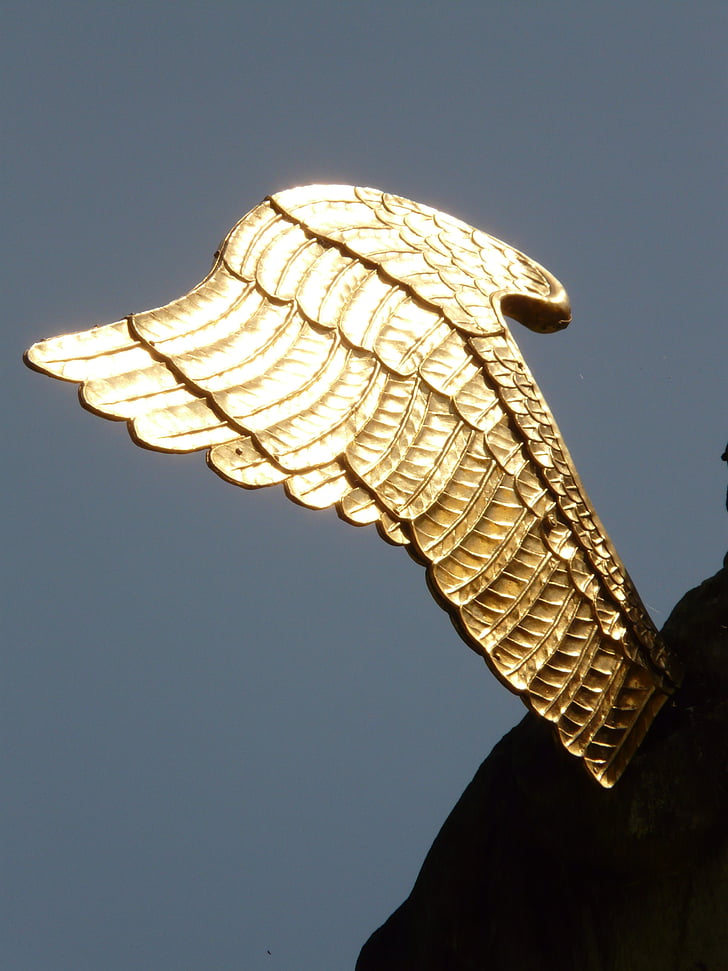крило, Ангел, злато, метал