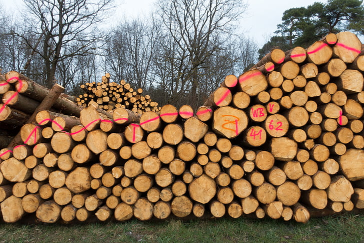 дървен материал, дървен материал, край на гората, holzstapel, нарастващата наличност, наредени, дребен изключено