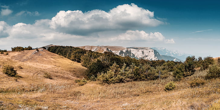 zelená, strom, Horizont, hory, mrak, mraky, tráva