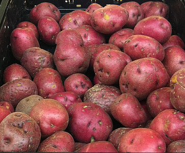 κόκκινες πατάτες, ποικιλίες, ξεχορταριάζει, taters, κόκκινο, russet, συγκομιδή