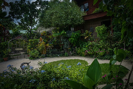 bora-bora, jardin, nature, vert, plante, fleurs, Polynésie français