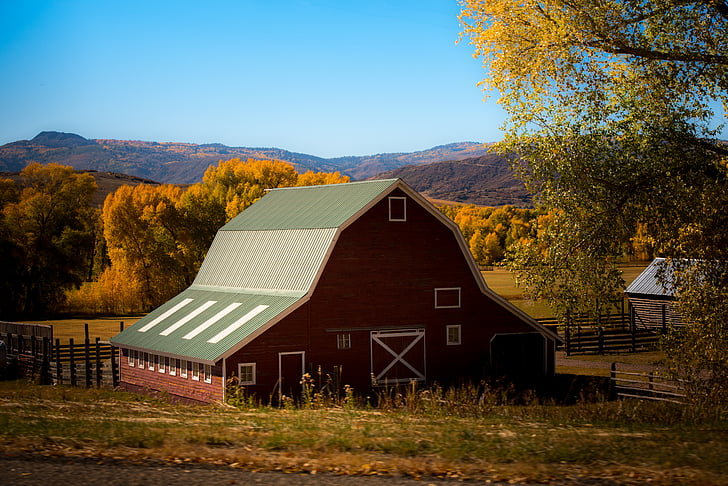 poľnohospodárstvo, jeseň, stodola, budova, krajiny, vidiek, ornú