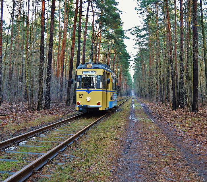 raitiovaunu, lättähattu, Metsäpolku, Woltersdorf - berlin, Rautatieraide, kuljetus, juna