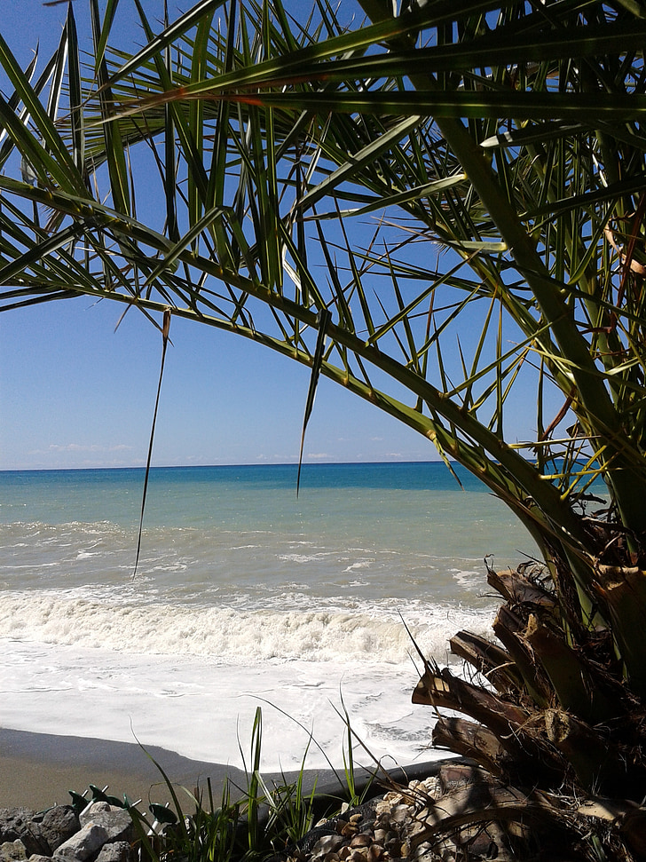 sea, beach, italy, holiday, wave, palm
