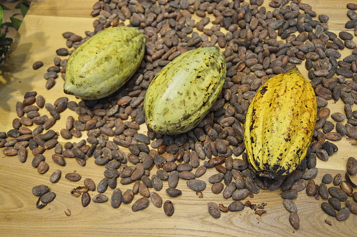 cocoa beans, cocoa, display, chocolate, ingredients, brown