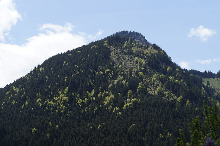 montaña, Allgäu, Alpine, paisaje, senderismo, naturaleza, Outlook