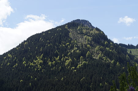 montanha, Allgäu, Alpina, paisagem, caminhadas, natureza, perspectivas