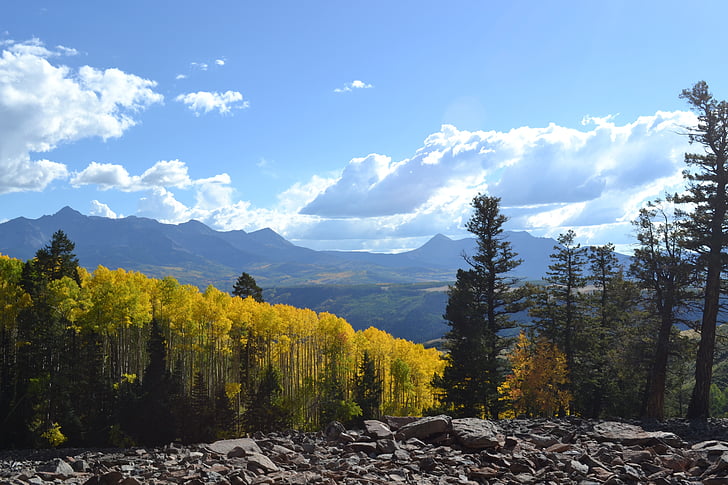 Colorado, Muntanyes Rocalloses, arbres assolellats