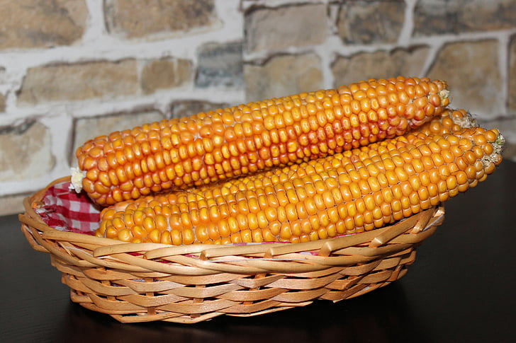 kukurūza, dārzeņu mais, Corn par vālīšu, Frisch, dārzeņi, pārtika