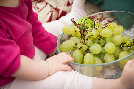 grožđe, beba, roza, hrana, prehrana, zdjela, voće