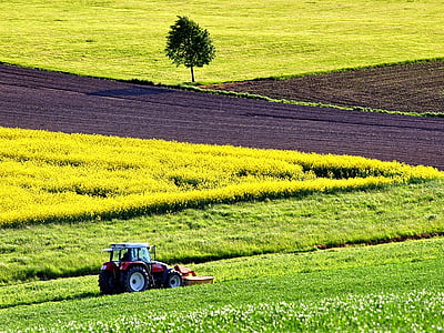 mezőgazdaság, a rapeseeds területén, a mező, szántóföldi, traktorok, mezőgazdasági gép, mezősorrend