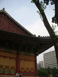 lesa, Hanok, lepota, tradicionalni, korejski tradicionalne, arhitektura, Aziji