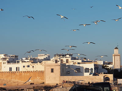 Fort, kikötő, Marokkó, történelmi város, Medina, épület, építészet