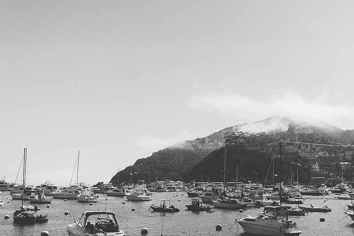 motorbåt, hel, Catalina, båtar, Marina, hamnen, hamnen