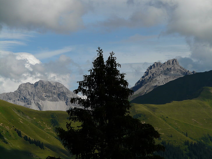 Panorama, Alpski, gore, gorskih, drevo, jelka, alpenpanorma
