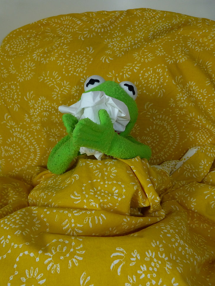 malalt, fred, ensumar, mocador, Kermit, granota