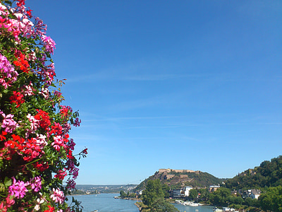 Koblenz, cvetje, Buga, blütenmeer, spomenik, Ren, Sachsen