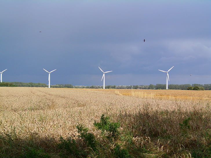 szélenergia, windräder, szélmalom, tengerpart, Észak-Németországban, mezők