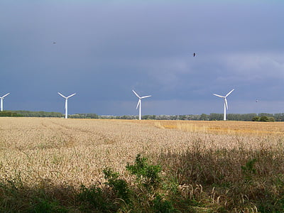 Tuulivoima, Windräder, tuulimylly, Coast, Pohjois-Saksassa, kentät