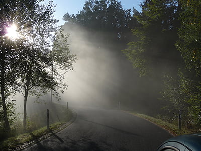 morning mist, landscape, fog, haze, road
