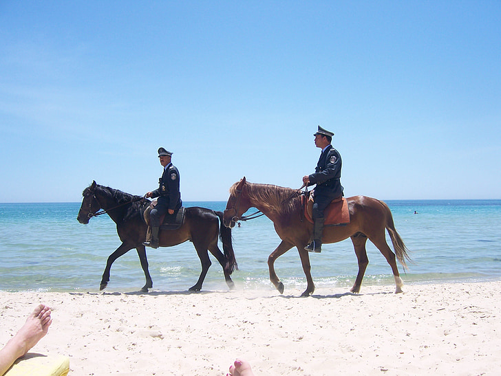 horses, sand, mounted police, police, ocean, animal, beach